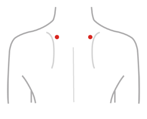 肩外兪（けんがいゆ）:SI14 つぼ・反射区/ツボマスター[公式サイト]