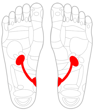 つぼ 膀胱 足