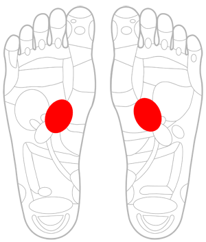 足 つぼ 太陽 神経 叢 と は